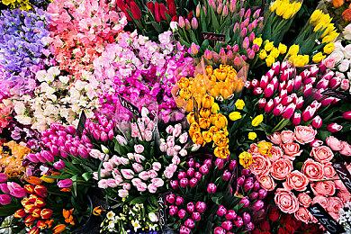 《巫师4》开发者探索AI开发 但是AI不能取代人