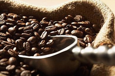 BKOM工作室公布ARPG《开拓者：憎恶魔窟》